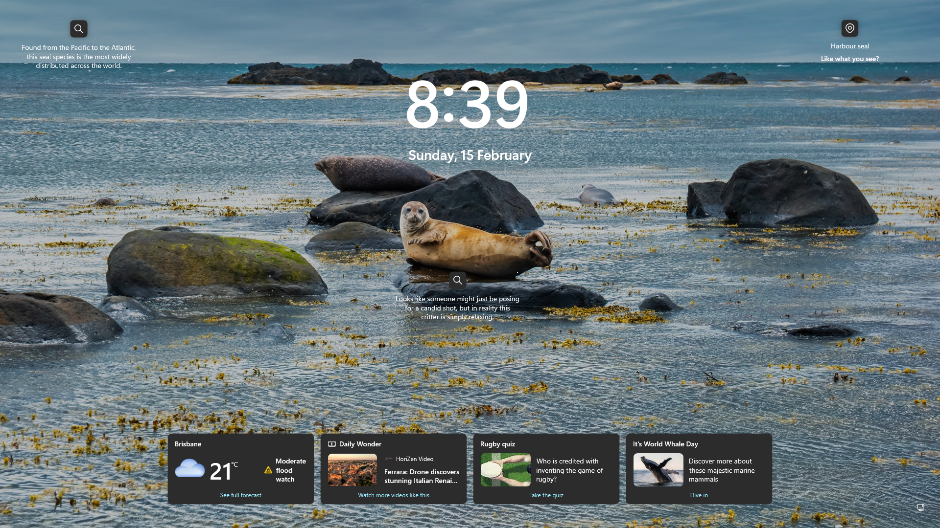 Live LedgerBridge desktop app window
